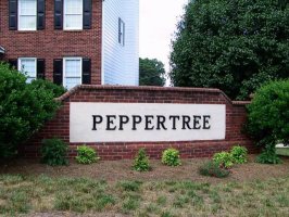 Peppertree